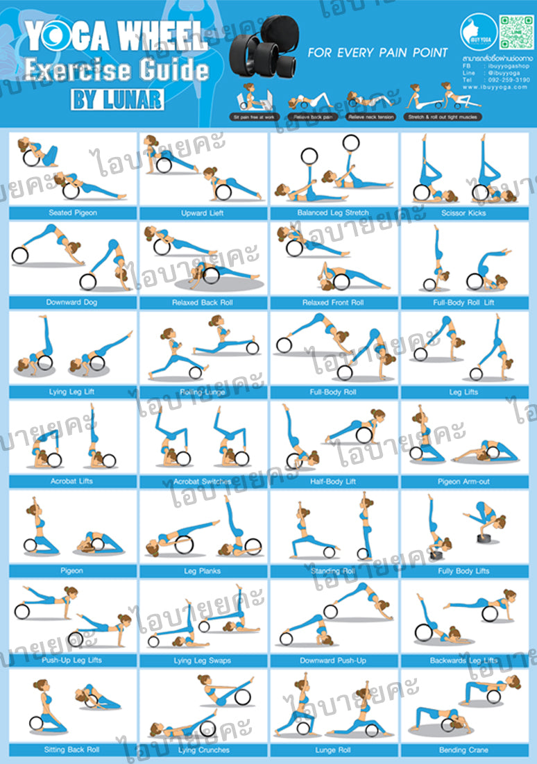 Yoga Wheel Exercise Guide Poster 