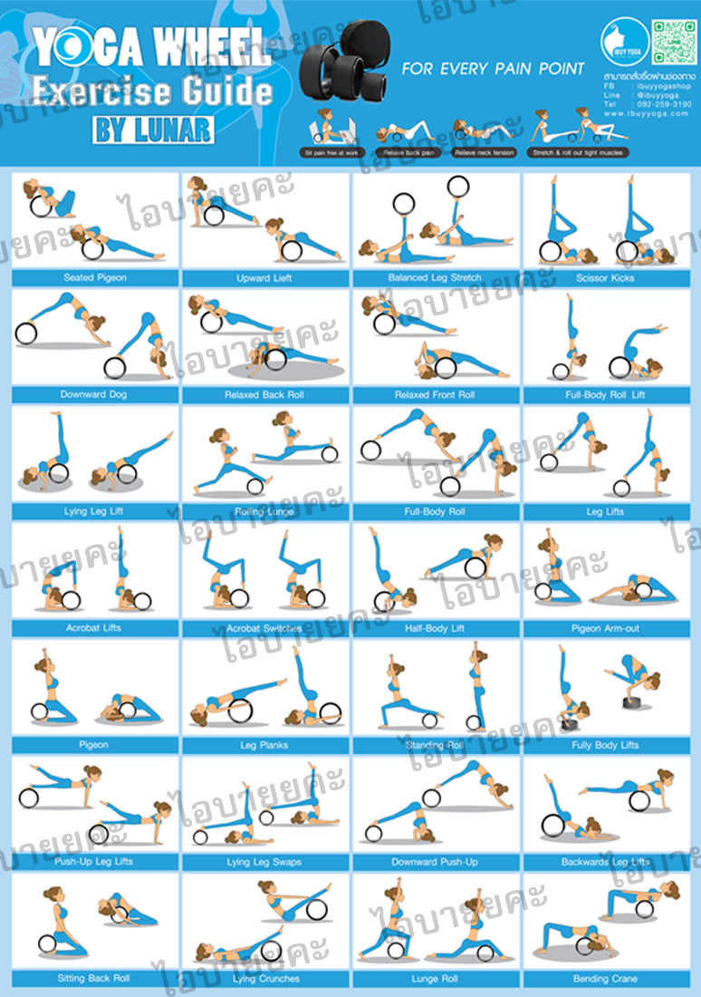 โปสเตอร์วงล้อโยคะ Yoga Wheel Exercise Guide