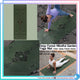 Deep Forest Green