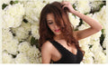 Seamless and wireless bra no. 853-