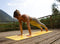 Liforme Radiant Sun Yoga Mat เสื่อโยคะ 4.2mm