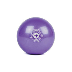 Toning Ball 1lb 10cm (Purple)